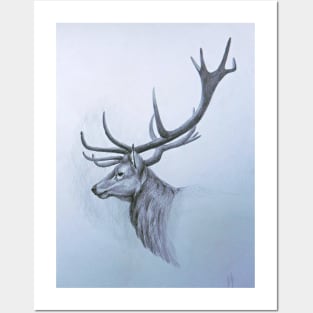 Deer Posters and Art